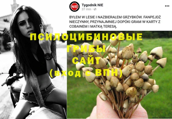 дурь Белокуриха