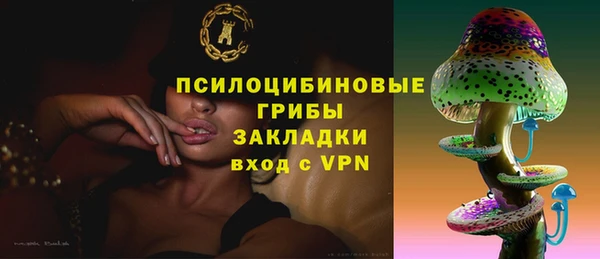 дурь Белокуриха