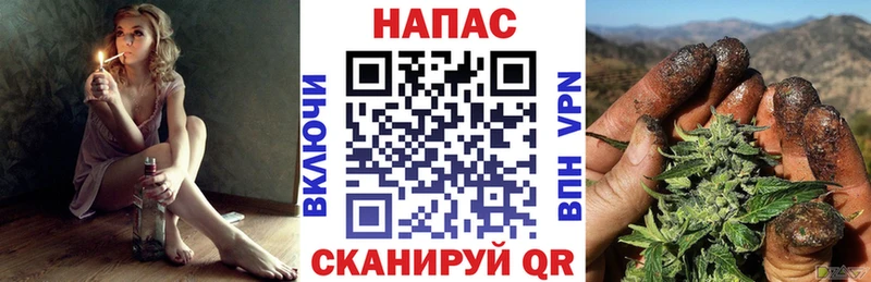 где найти наркотики  Буйнакск  Конопля марихуана 